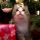 white and gray cat on christmas tree